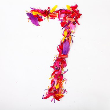 Yaprakları sayı yedi