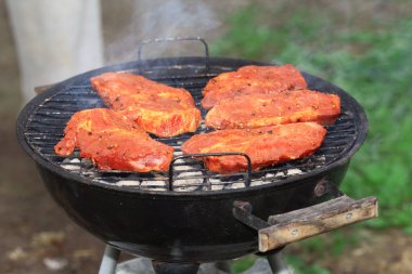 Barbekü et ızgara