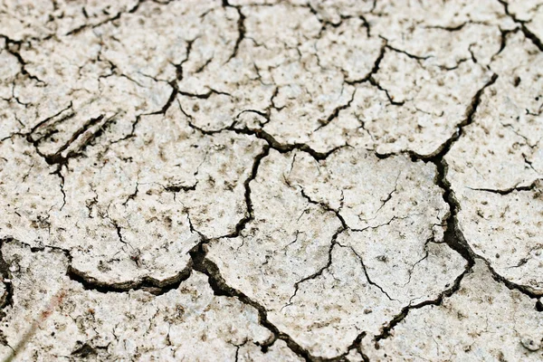 Gebarsten land achtergrond — Stockfoto