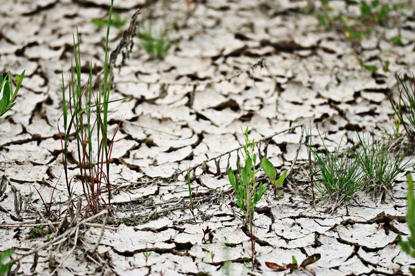 Gebarsten land achtergrond — Stockfoto