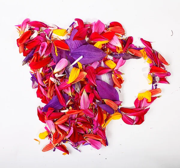 Petale de flori în formă de ceașcă — Fotografie, imagine de stoc