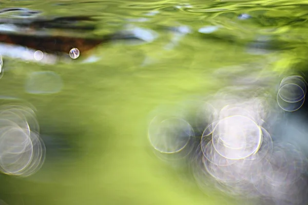 Na podzim žluté pozadí — Stock fotografie