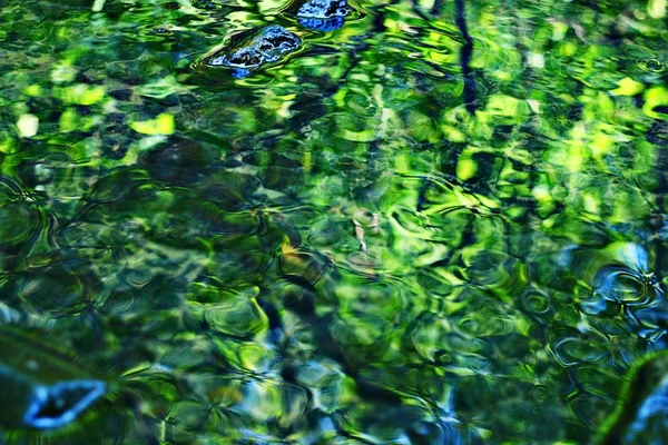 Eau verte floue — Photo