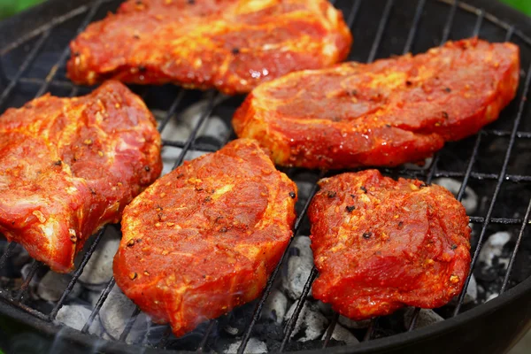 Carne para churrasco — Fotografia de Stock
