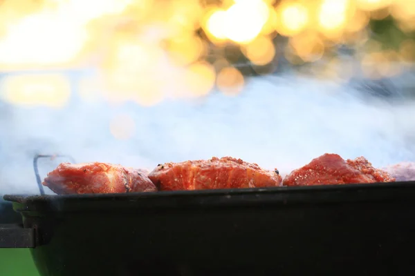 Carne barbecue alla griglia — Foto Stock