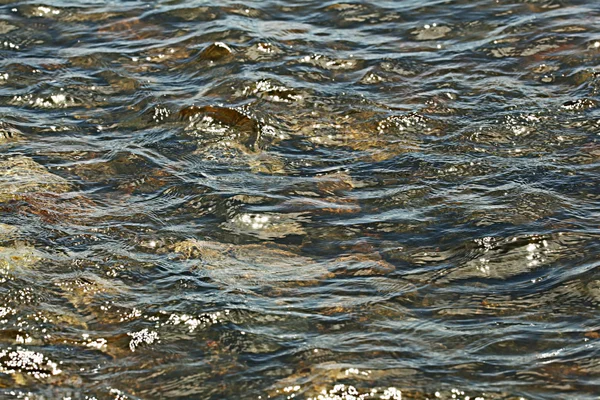 Kieselsteine unter Wasser — Stockfoto