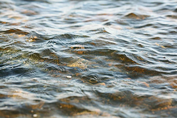 Pebbles debaixo de água — Fotografia de Stock