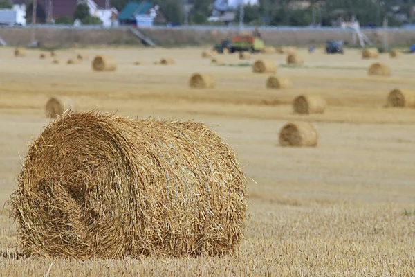 Pacas de paja — Foto de Stock