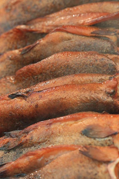 Peixes de truta fumados — Fotografia de Stock