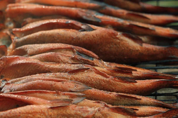 Peixes de truta fumados — Fotografia de Stock