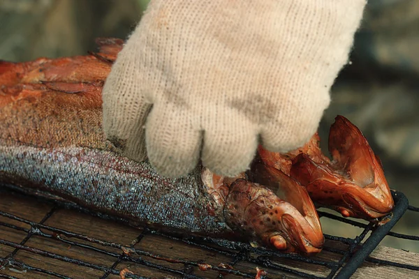 Peixe de truta fumado na grelha — Fotografia de Stock