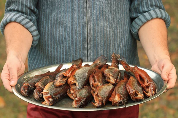 Smoked  trout fish on tray — Stock Photo, Image