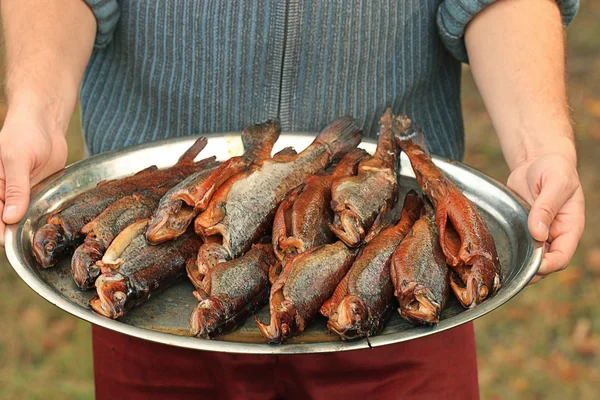 Peixe de truta fumado na bandeja — Fotografia de Stock