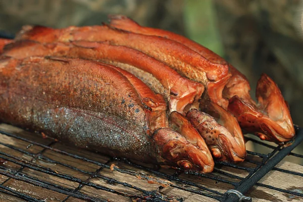 Peixe de truta fumado na grelha — Fotografia de Stock