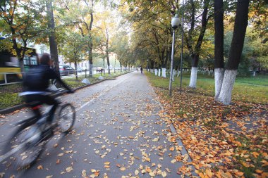 Güneşli sonbahar yol