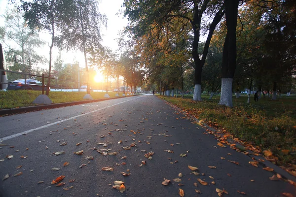 Sunny autunno strada — Foto Stock