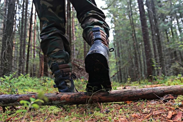 Pés em sapatos andando na floresta de outono — Fotografia de Stock