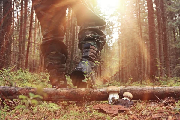 Pés em sapatos andando na floresta de outono — Fotografia de Stock