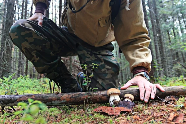 L'homme trouve des champignons — Photo