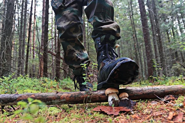 Pieds dans les chaussures marchant dans la forêt d'automne — Photo