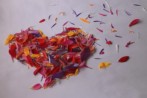 Coração de pétalas de flores coloridas — Fotografia de Stock