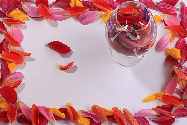 Flower petals in glass — Stock Photo, Image