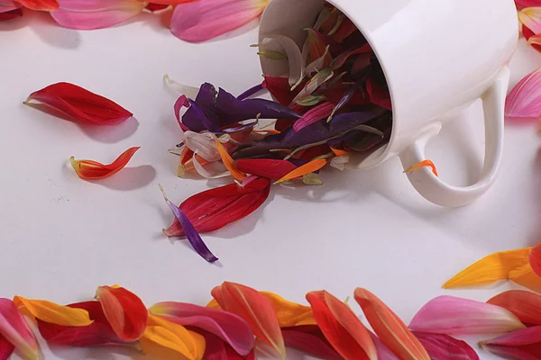 Flower petals in cup — Stock Photo, Image