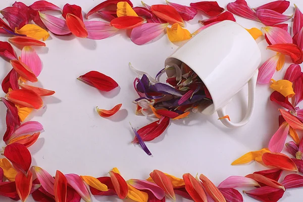 Flower petals in cup — Stock Photo, Image