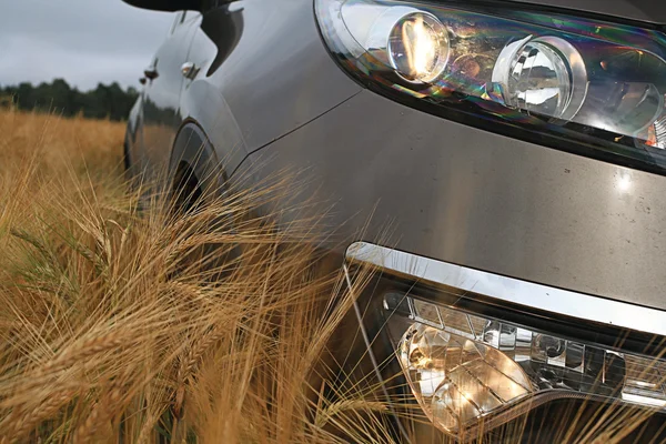 Car in a wheat field — Stock Photo, Image