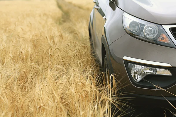 Carro em um campo de trigo — Fotografia de Stock