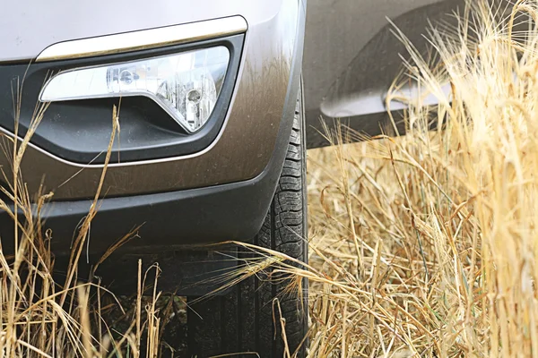 Car in a wheat field — Stock Photo, Image