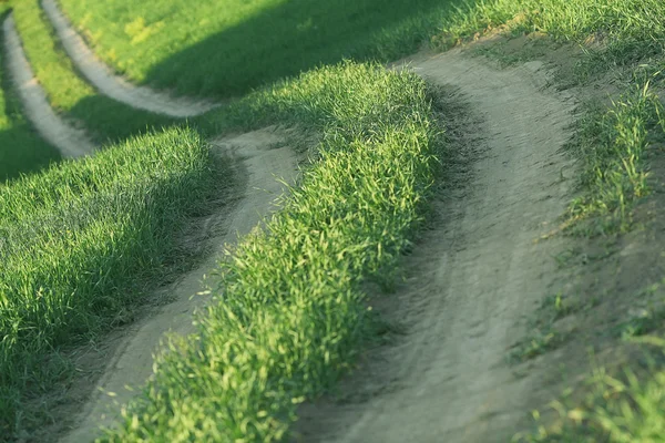 Road in the grass field — Stock Photo, Image
