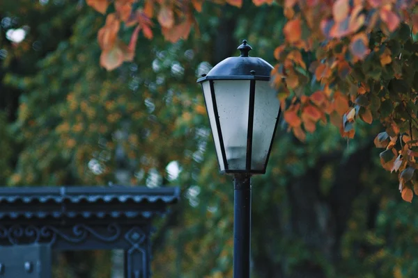 Lanterna de rua no outono — Fotografia de Stock