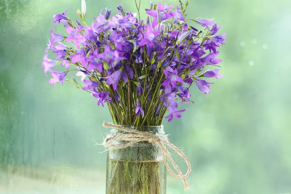 Μπουκέτο με λουλούδια μωβ κουδούνι — Φωτογραφία Αρχείου
