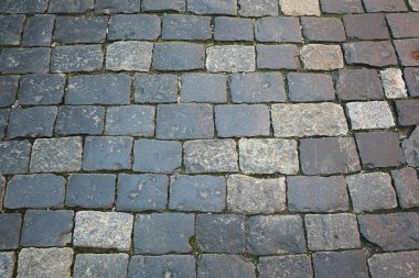 Arka plan parke taşları