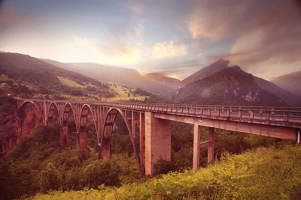 Djurdjevica-Brücke — Stockfoto