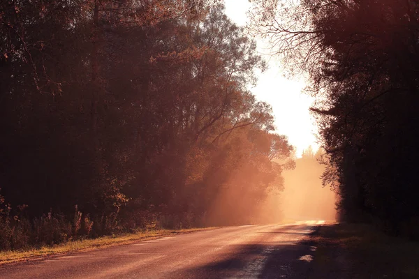 Camino de otoño al atardecer — Foto de Stock