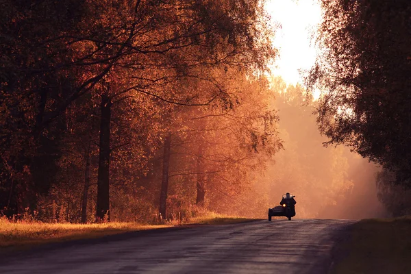 Route d'automne au coucher du soleil — Photo