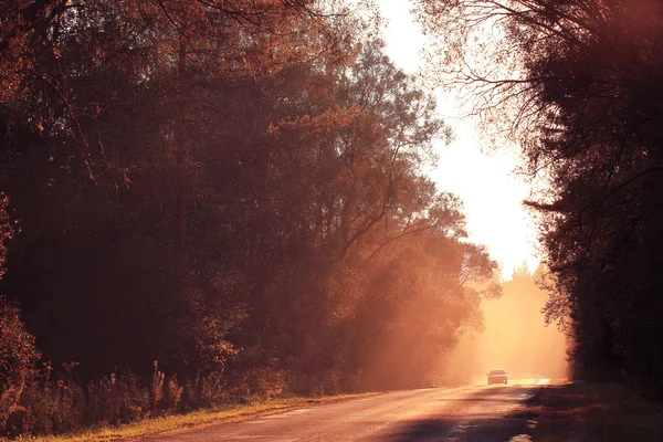 Estrada de outono ao pôr-do-sol — Fotografia de Stock