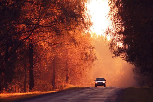 Jesienna droga na zachód słońca — Zdjęcie stockowe