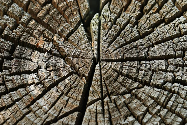 Wooden background — Stock Photo, Image