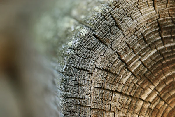 Wooden background — Stock Photo, Image