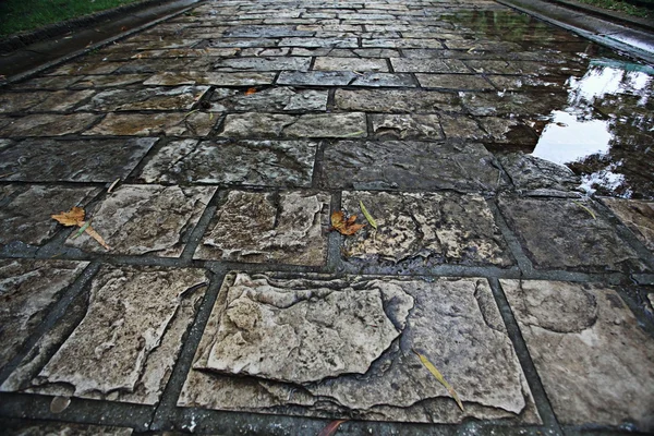 Wet pavement background — Stock Photo, Image