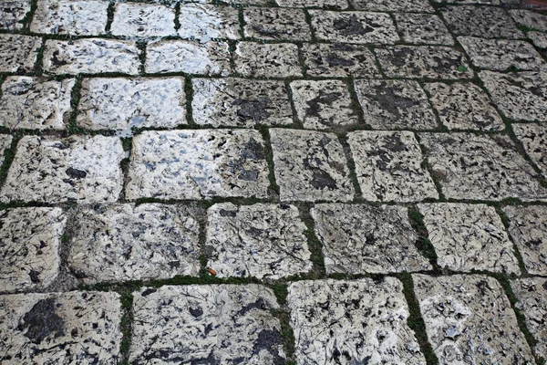 Wet pavement background — Stock Photo, Image