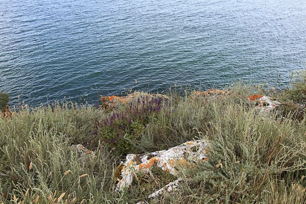 Валуни на узбережжі моря — стокове фото