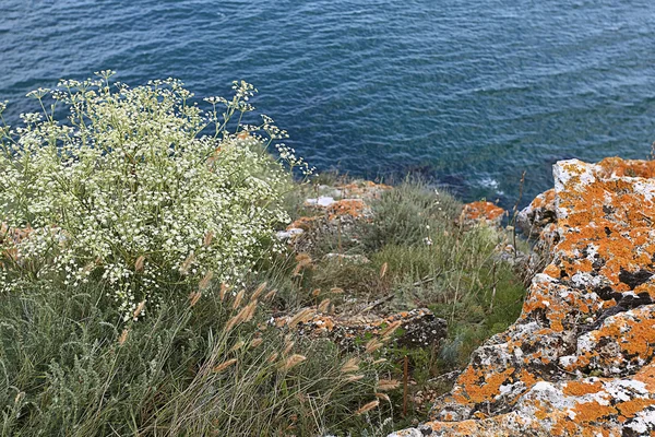 Uçurumun kıyısında kayalar — Stok fotoğraf