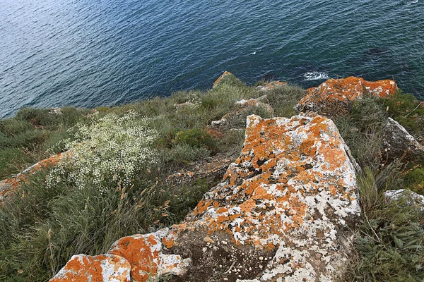 Felsen an der Küste — Stockfoto