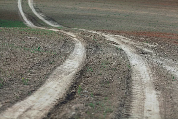 Road by wheat field — Stock Photo, Image