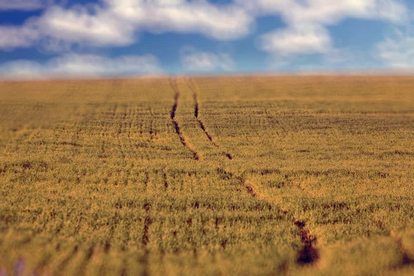 Estrada através de um campo — Fotografia de Stock