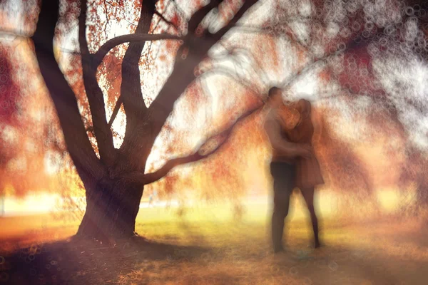 Couple dans le parc — Photo